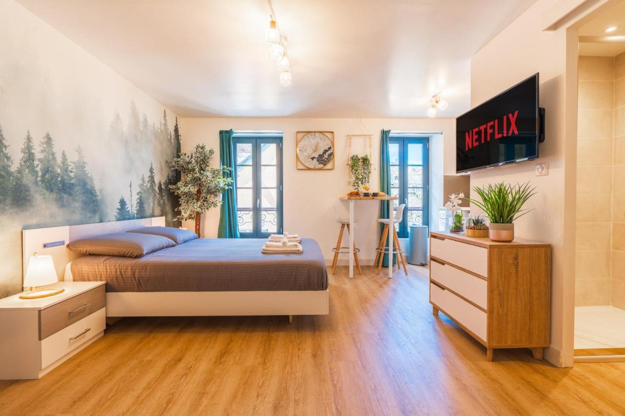 Le Cosygreen - Central/Netflix/Wifi Fibre - Sejour Lozere Mende Ngoại thất bức ảnh