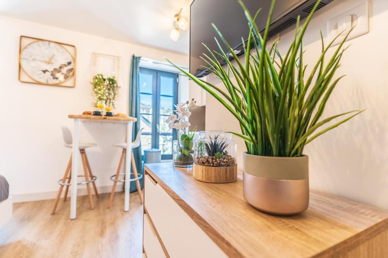 Le Cosygreen - Central/Netflix/Wifi Fibre - Sejour Lozere Mende Ngoại thất bức ảnh